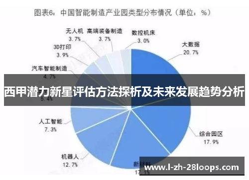 西甲潜力新星评估方法探析及未来发展趋势分析